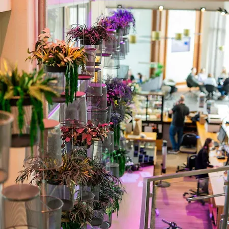 헤스티아 유로파 4*