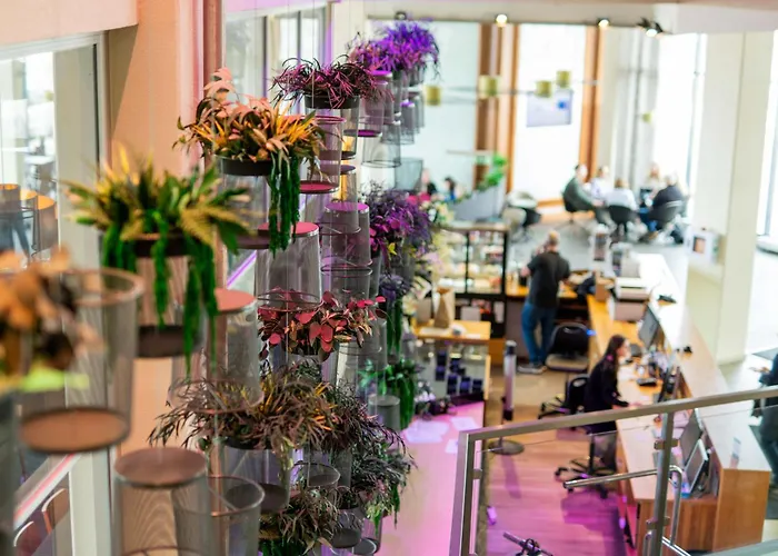 هيستيا يوروبا 4*