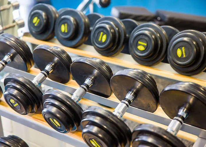 헤스티아 유로파